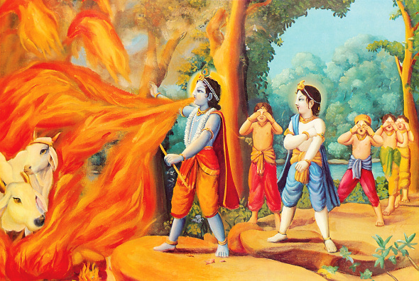 THE SECOND FOREST FIRE
