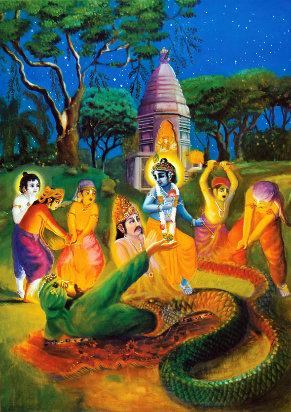 NANDA MAHĀRĀJA DELIVERED FROM THE SNAKE