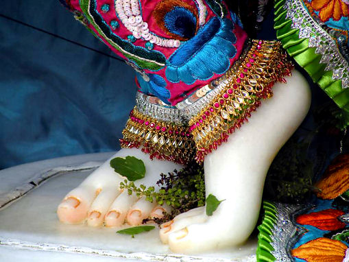 Krishnas Lotus-feet
